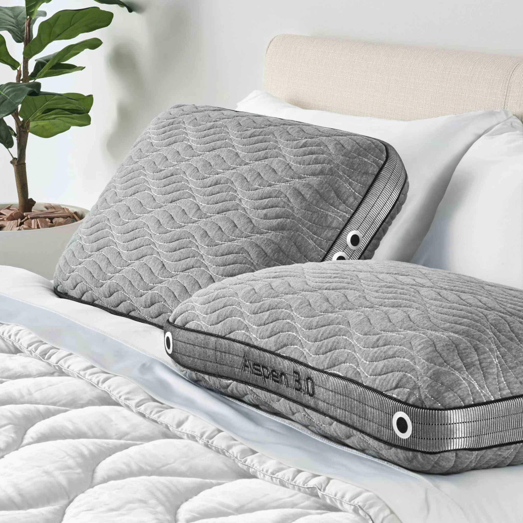 Aspen Performance - Standard Pillow - Image 2