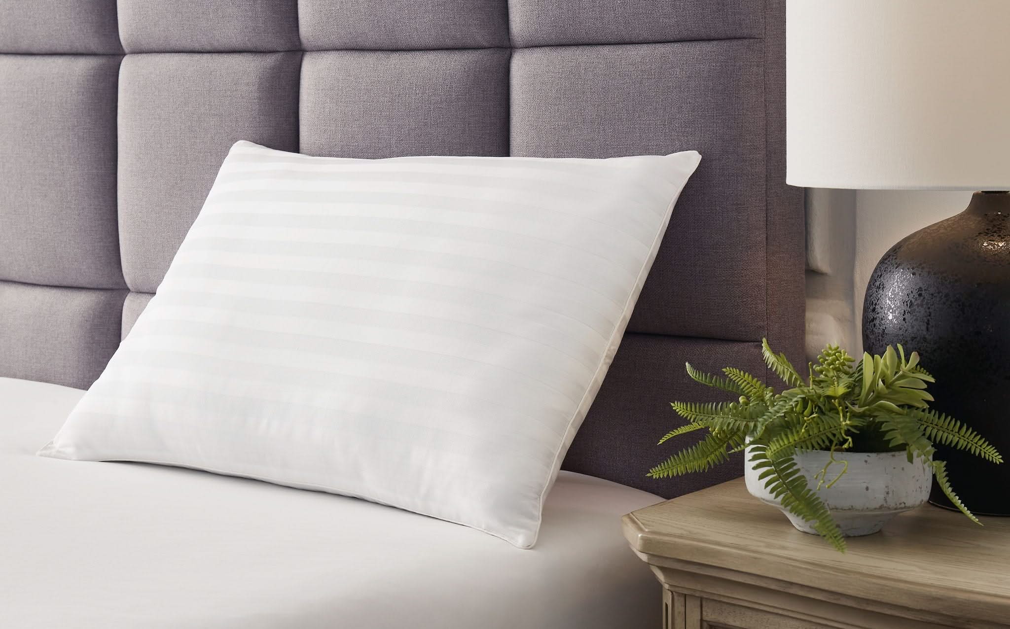 Zephyr 2.0 - Cotton Pillow - Image 4